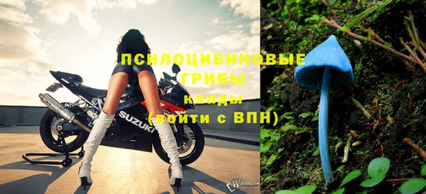 PSILOCYBIN Абинск