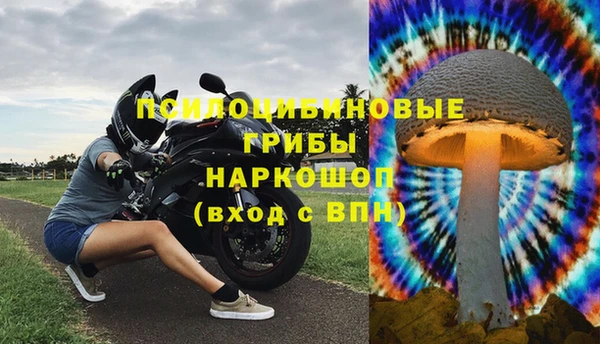 первитин Алексин