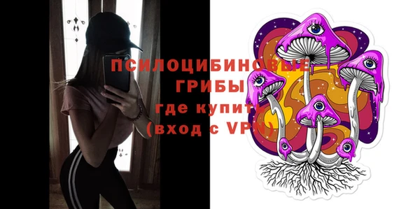 твердый Алексеевка
